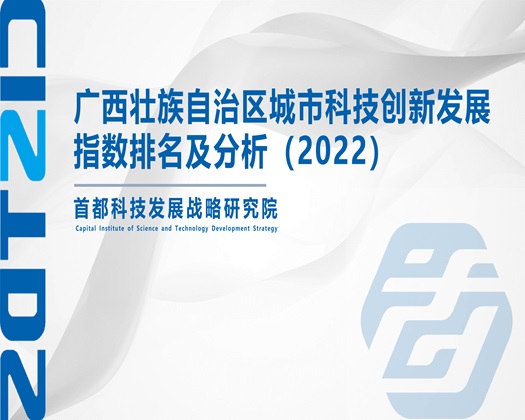 操屄屄【成果发布】广西壮族自治区城市科技创新发展指数排名及分析（2022）